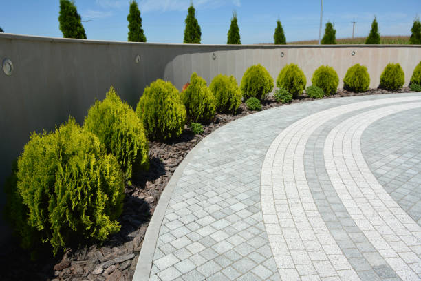 Best Driveway Pavers Near Me  in Homosassa, FL